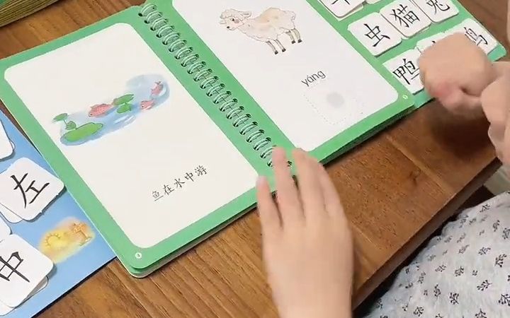 说说我给读幼儿园女儿的3年规划!哔哩哔哩bilibili