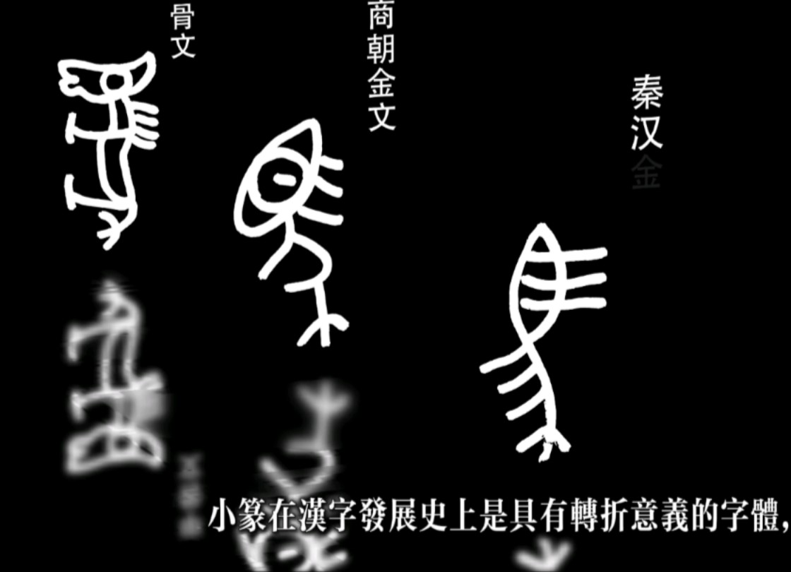 千年古书《说文解字》人类祖先如何造字的(汉字千年演化史)《说文解字》(文字,仓颉造字,象形字,学中文,历史,甲骨文,国学,有声书,读书,...