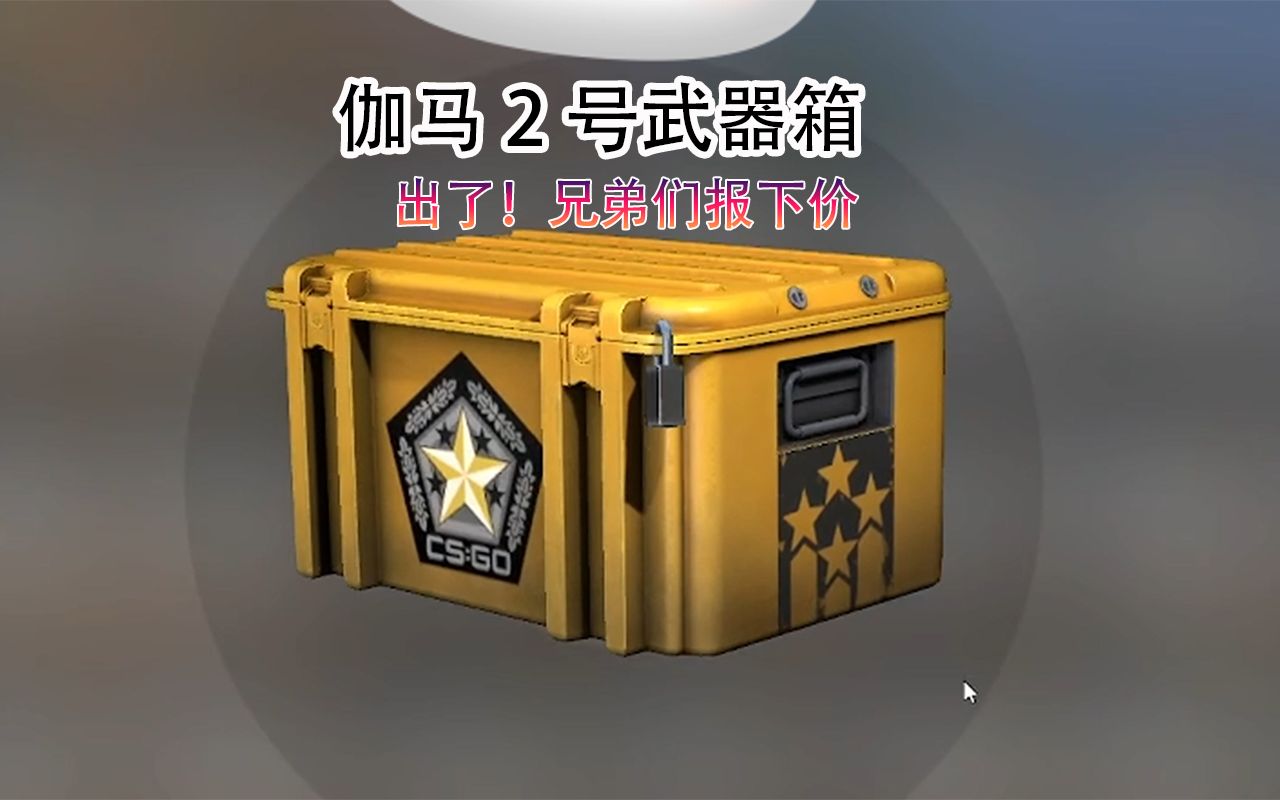 伽马2号武器箱里面收藏品属实棒!