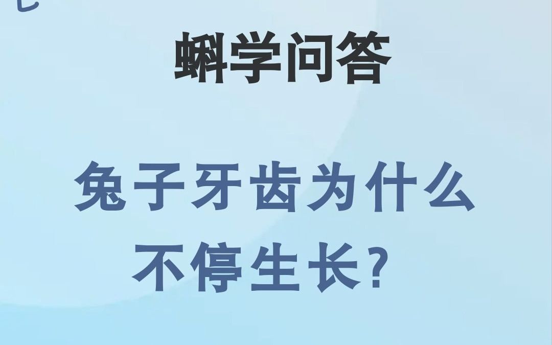 蝌学问答|兔子牙齿为什么不停生长?哔哩哔哩bilibili