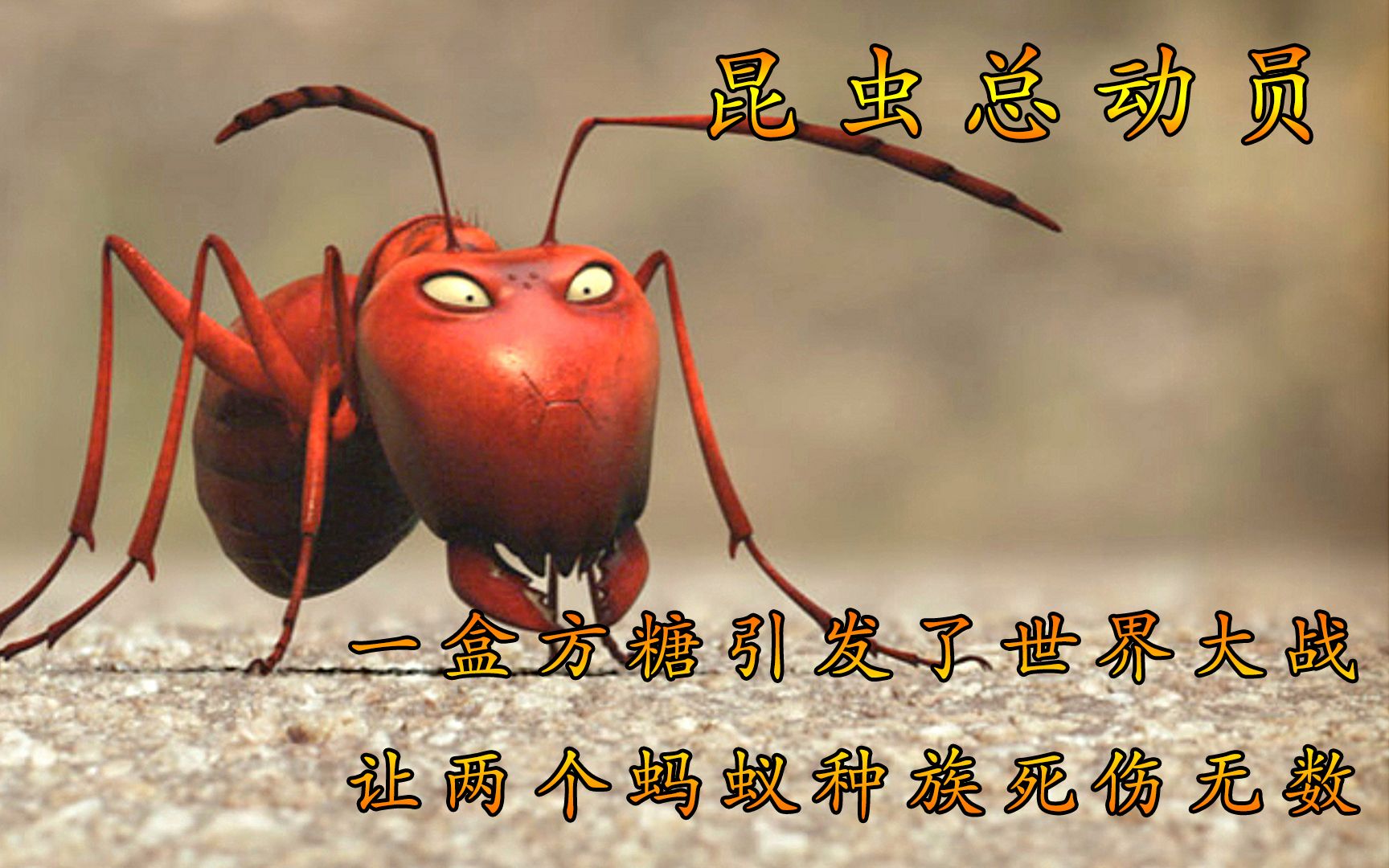 一颗方糖居然引发了蚂蚁世界的战争 最后还要靠一只瓢虫救场_哔哩哔哩