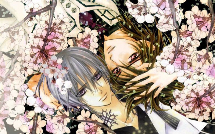 最远的距离玖兰枢和锥生零bl