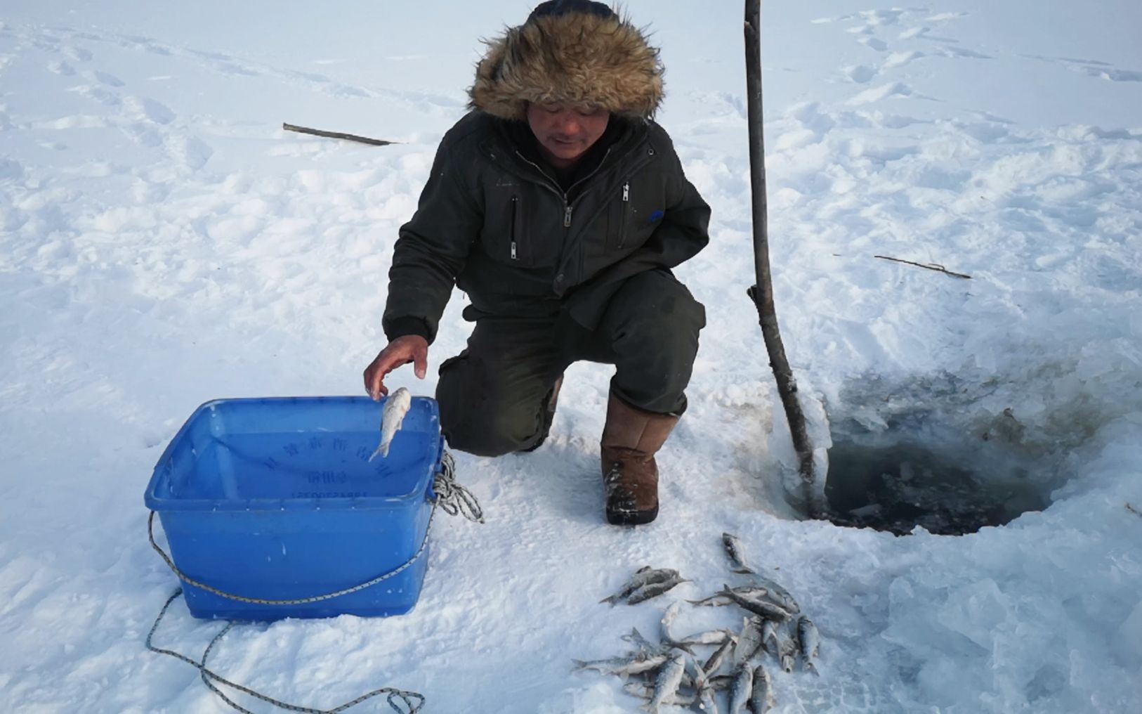 活动  东北农村人黑龙江冬捕,40厘米厚冰下捕鱼,回家途中还有意外收获