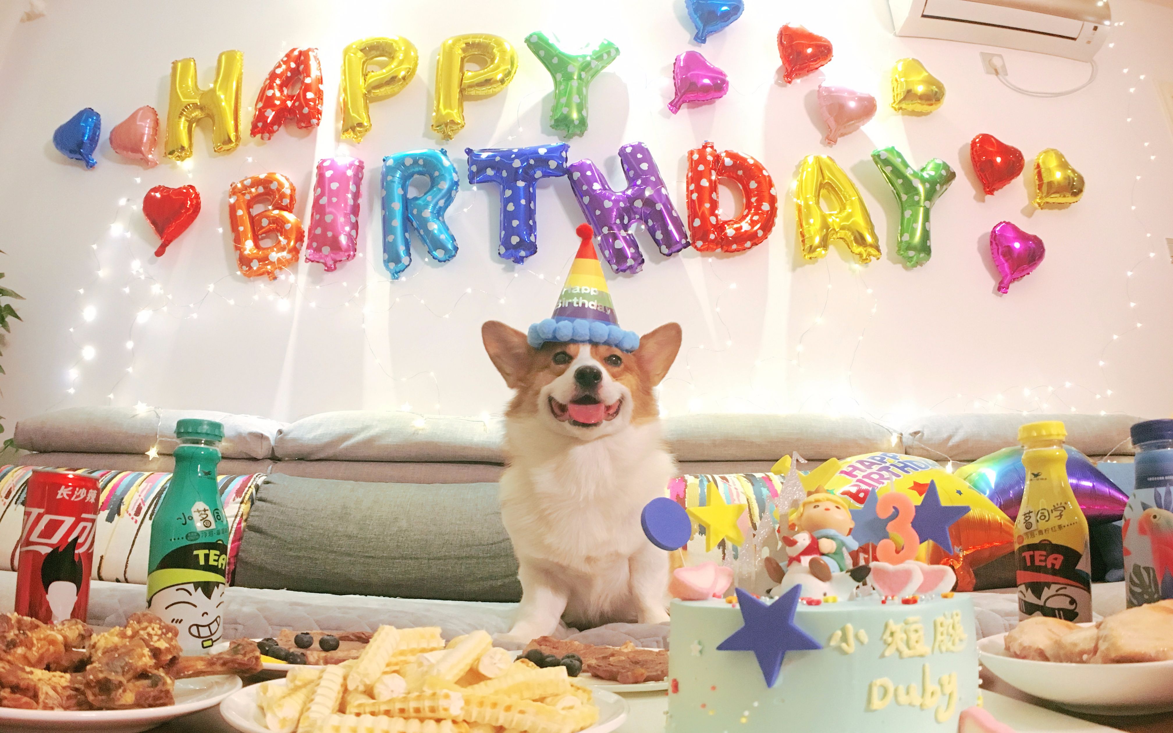 【柯基·小短腿duby】柯基duby过生日,妈妈精心准备了美食趴,狗狗一边