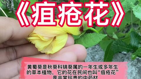 搜索 哔哩哔哩 つロ干杯 Bilibili