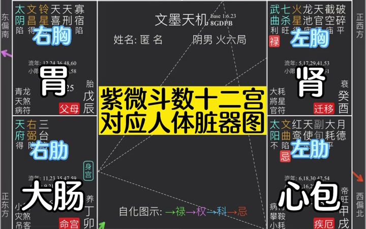 [图]紫微斗数实战学员教学《十二宫对应脏器》