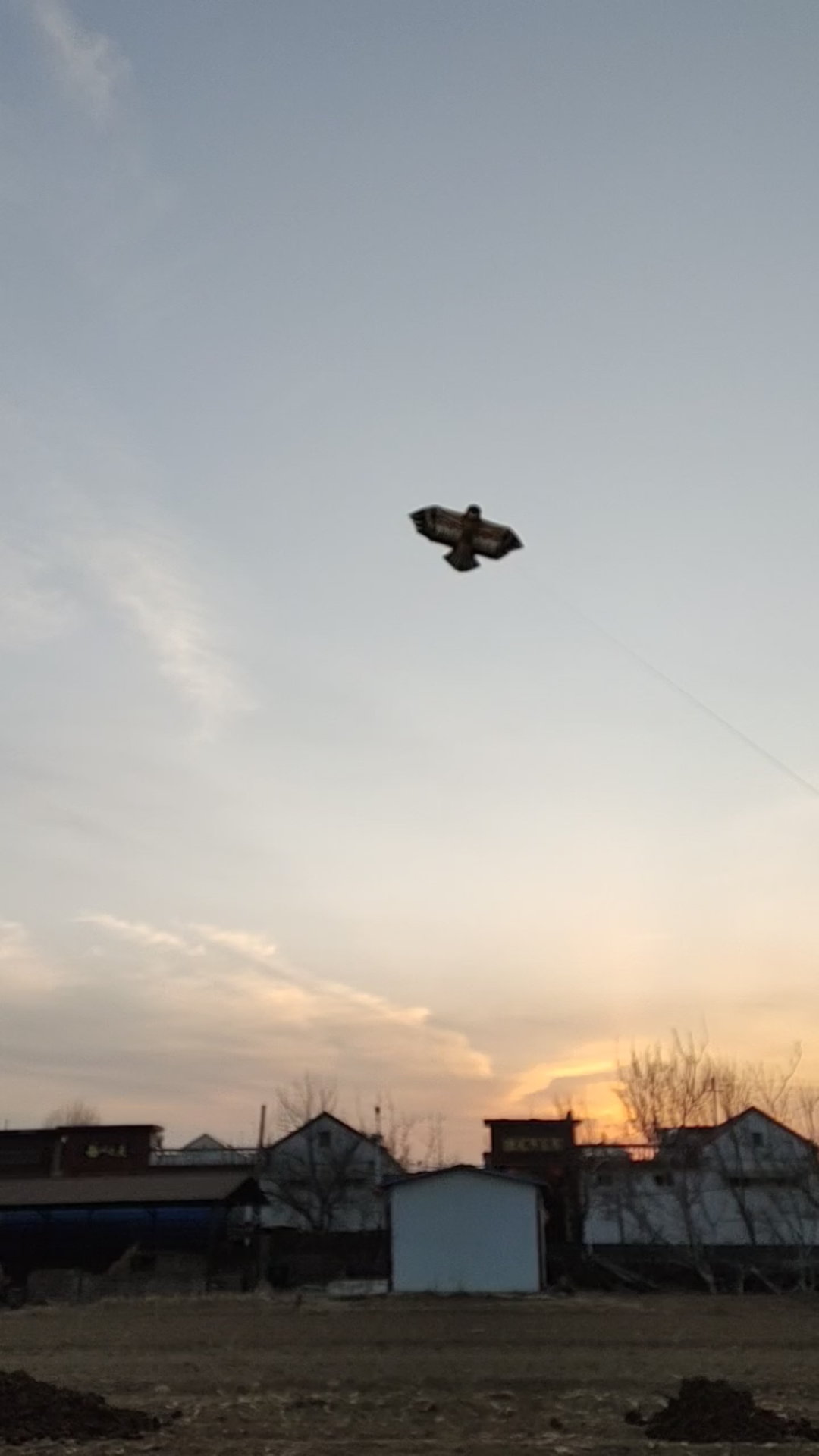 瓦蓝蓝的天空放老楞