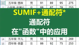 SUMIF+通配符*，通配符在“函数”中的应用