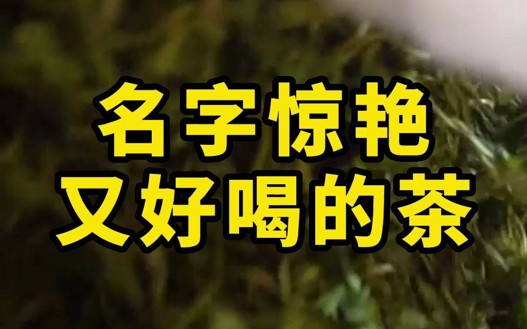 [图]那些光听茶名就想喝的好茶