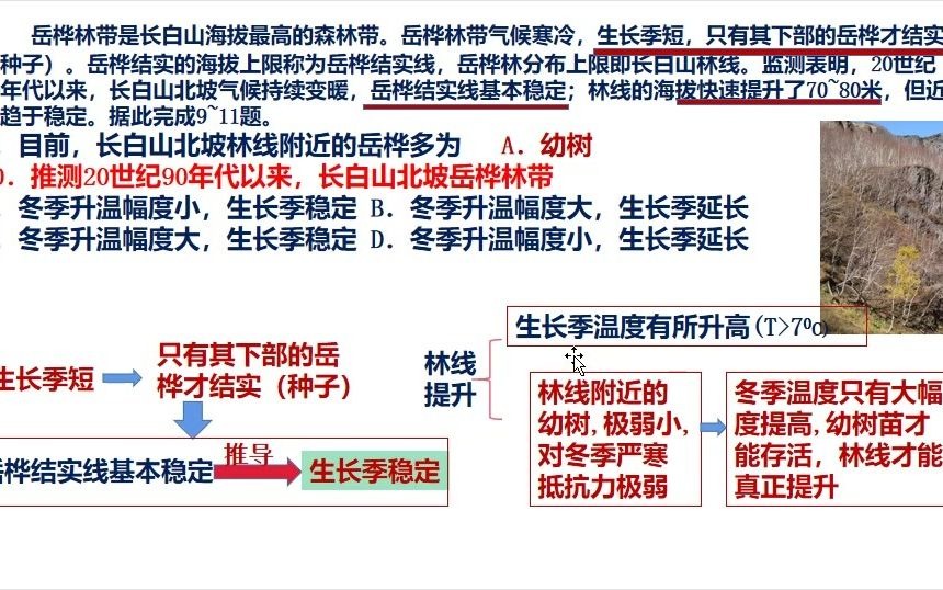 2020全国一卷岳桦林这组题的解析哔哩哔哩bilibili