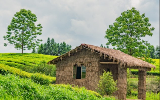 [图]茶山有风情，风景自迷人；人生有风景，跋山涉水自追随