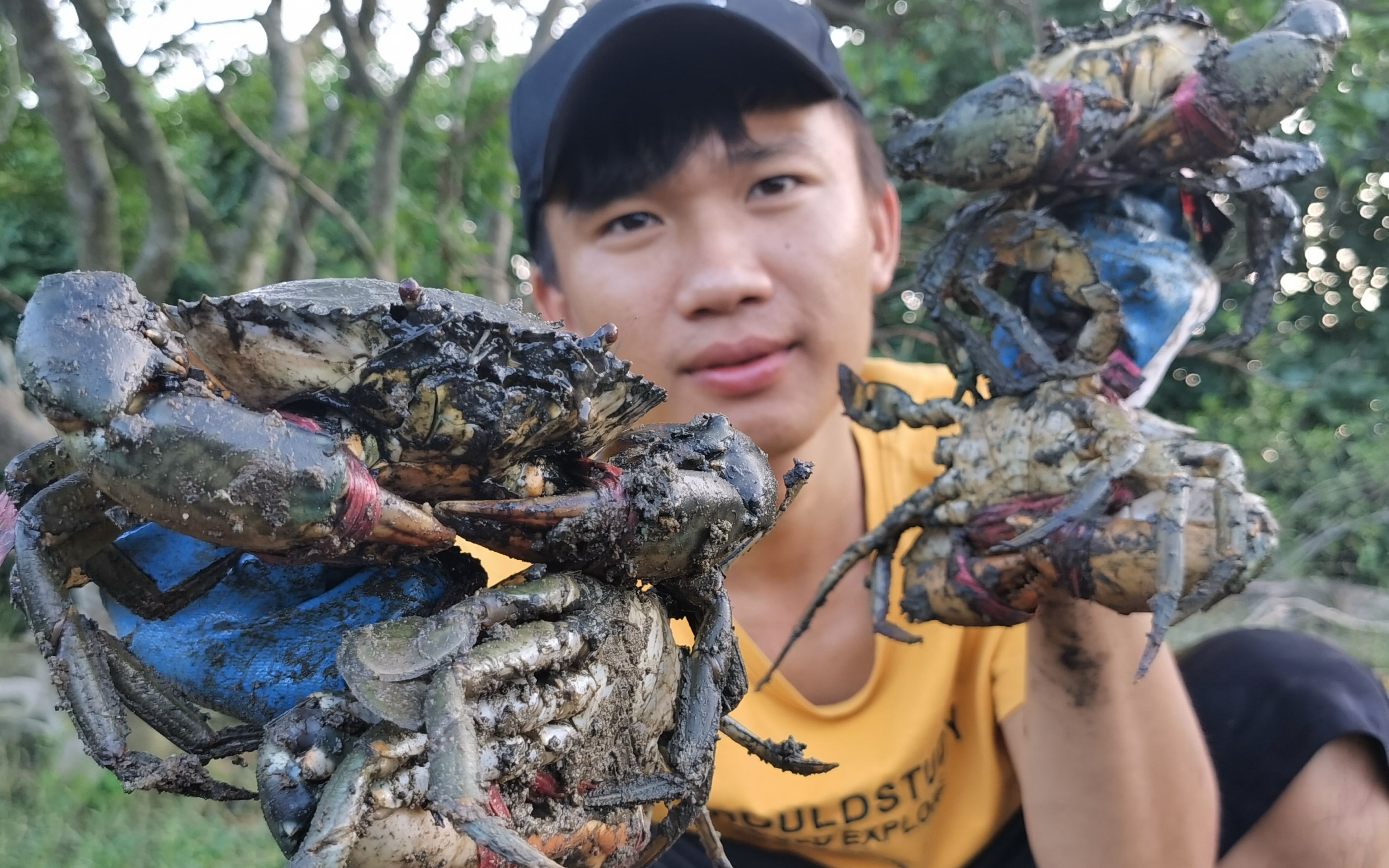 废弃的地笼大螃蟹真不少,运气来了挡都挡不住,把阿镭给乐坏了