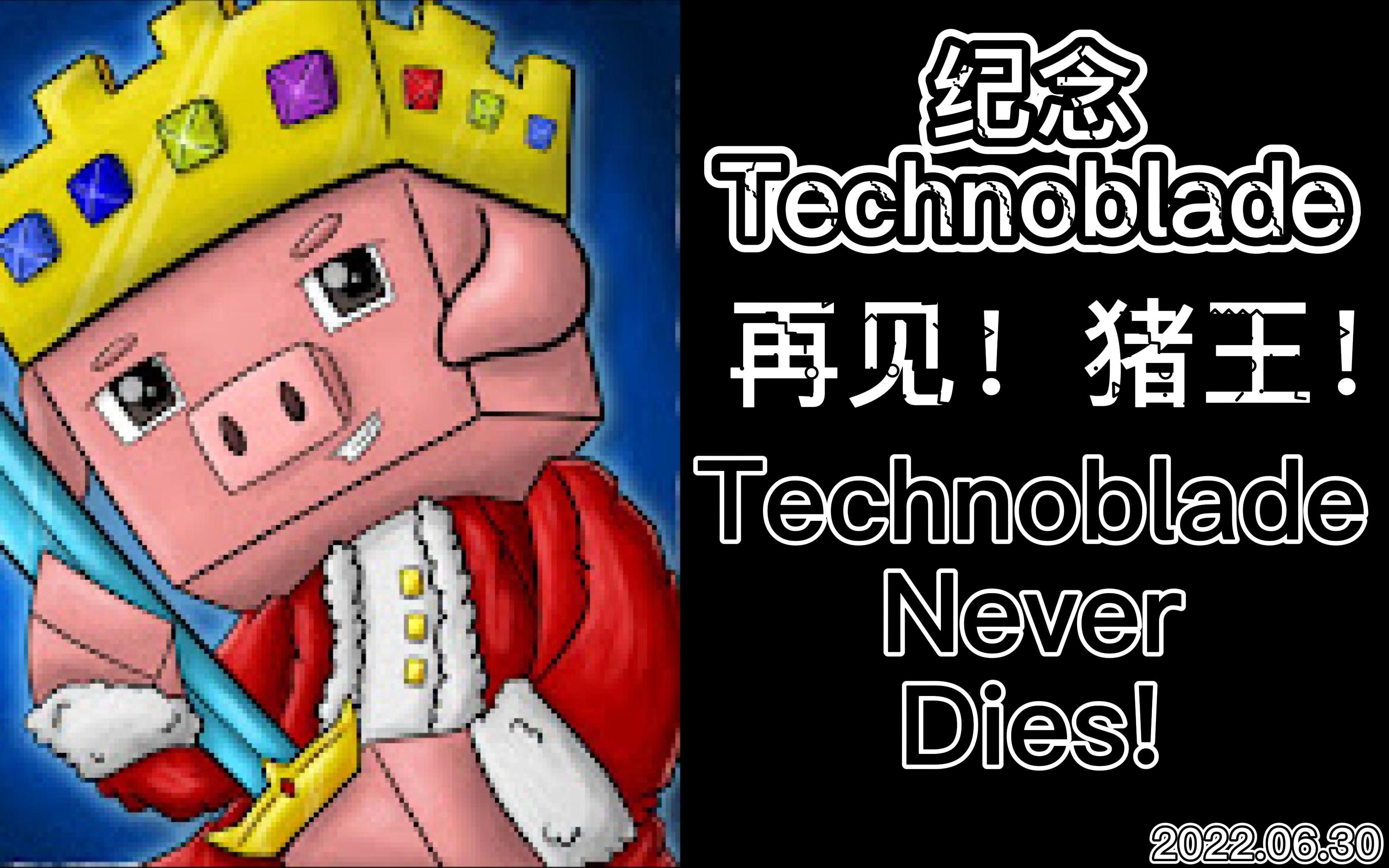 technoblade人设图片