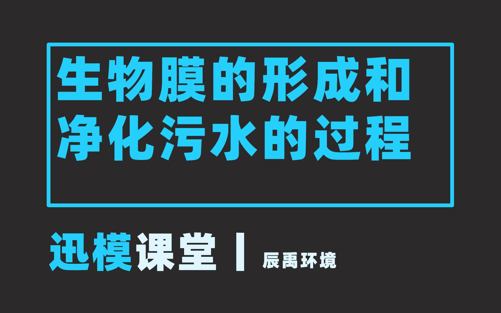 迅模课堂丨生物膜的形成与净化污水的过程哔哩哔哩bilibili