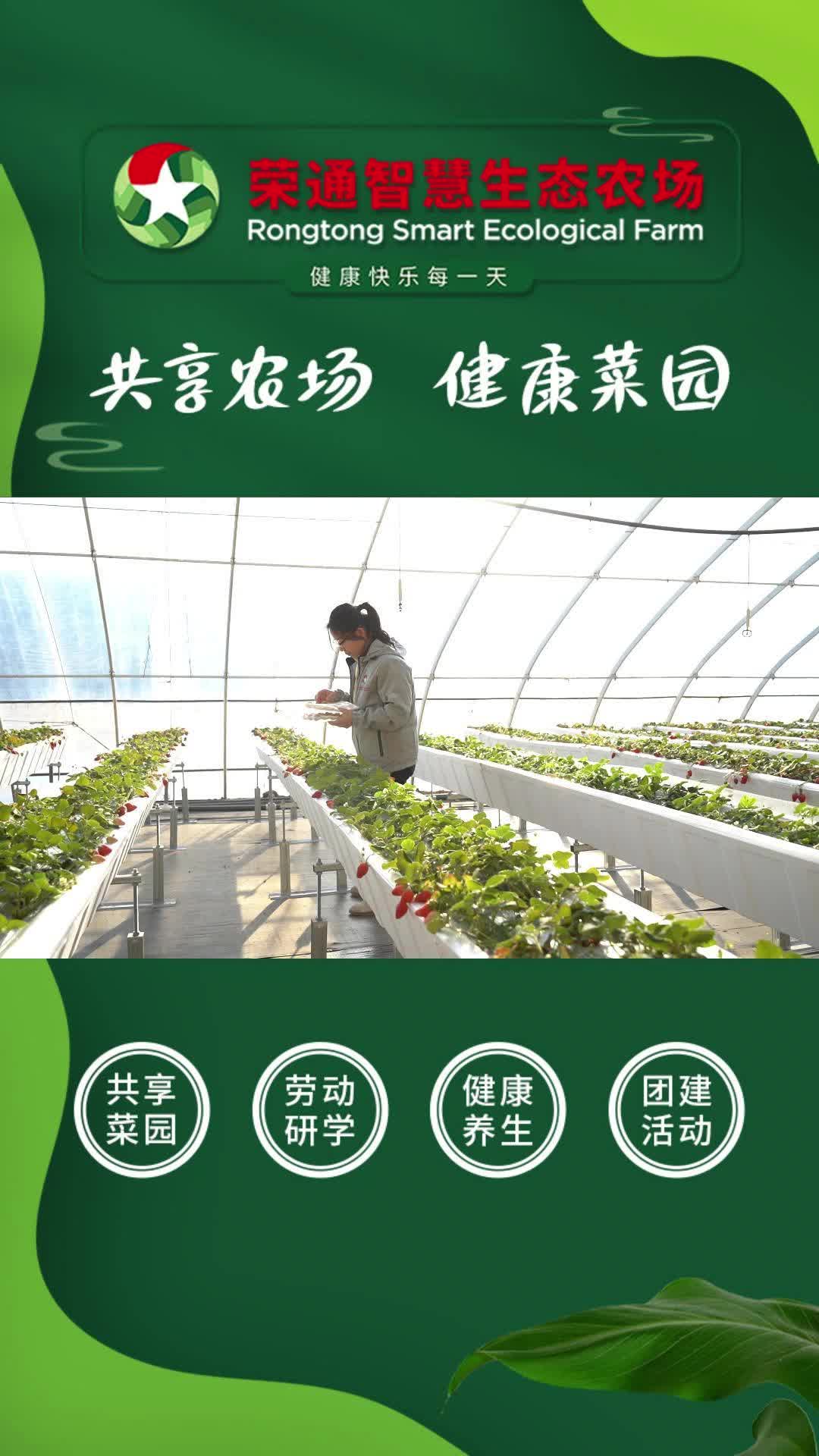 假期共享菜园沙龙,共享菜园基地,为大家推荐共享菜园;观光旅游,果蔬采