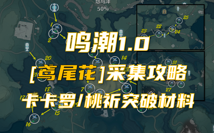 【鸣潮1.0】鸢尾花采集跟跑公测重制版 卡卡罗/桃祈突破材料手机游戏热门视频