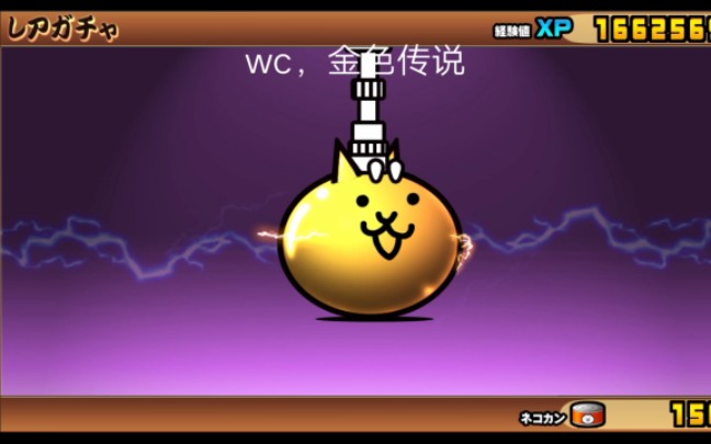 为了蓝眼!《猫咪大战争》_哔哩哔哩bilibili_猫咪大战争