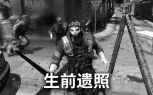 下载视频: 赖斯士兵悲惨一生