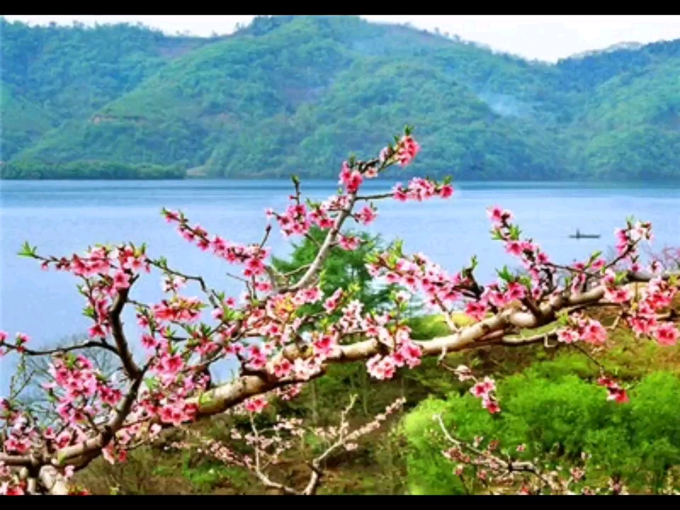 [图]故乡呀，你很美，但我暂时离开了你，带着思念与悲伤，不再束缚自己，父母最终的归宿之地呀，我的根，将来会回来，陪你#故乡#父母