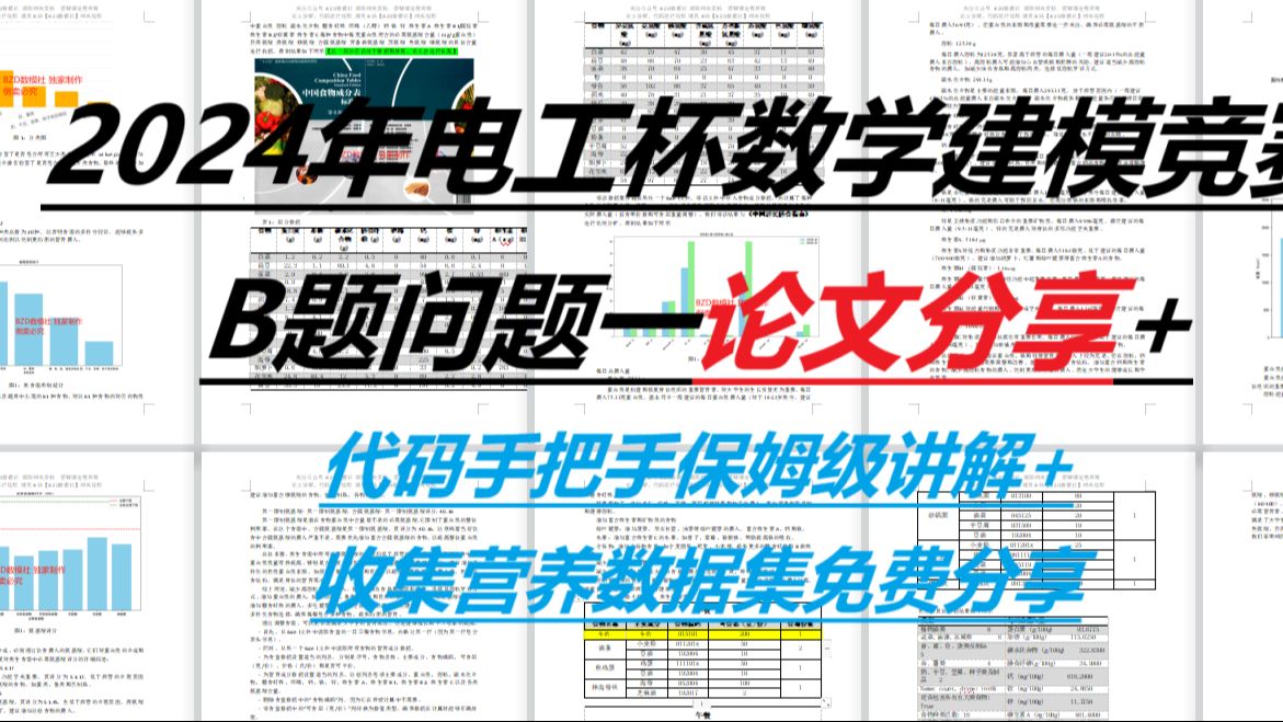 2024年电工杯B题问题一论文分享+代码手把手保姆级讲解+收集数据集分享哔哩哔哩bilibili