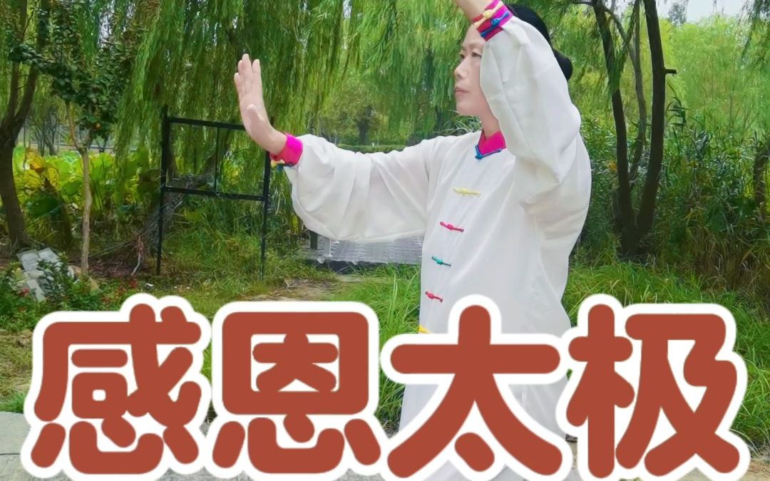 【感恩太极】不练太极拳,你永远不知道它有多好哔哩哔哩bilibili