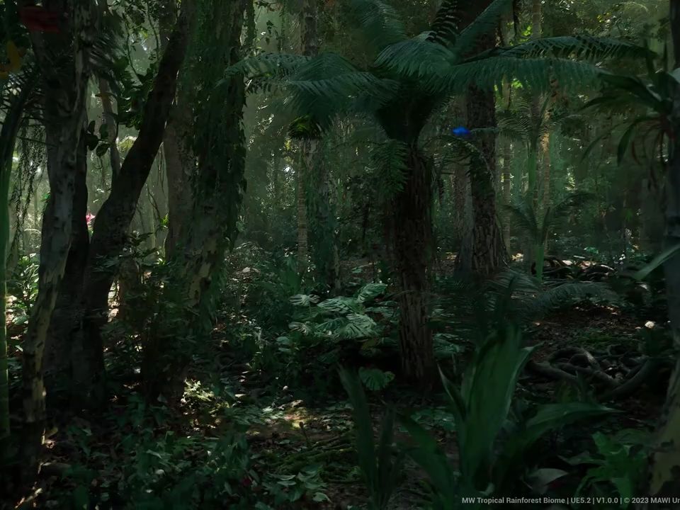 [图]UE5-热带雨林树木生物群落场景– MW Tropical Rainforest Trees Biome