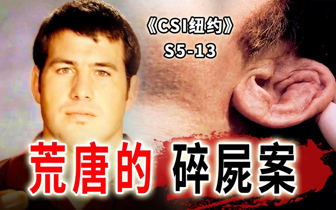 [图]荒唐的碎尸案，老实人被大卸八块，什么仇什么怨？《CSI纽约》S5-13