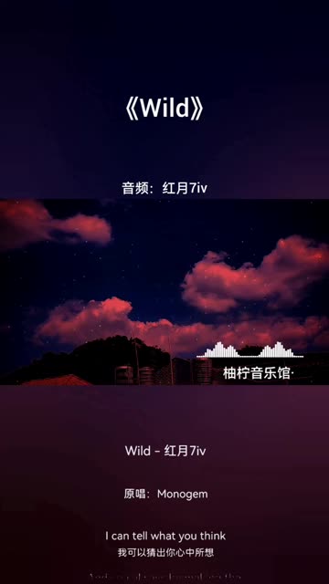 【Wild】哔哩哔哩bilibili