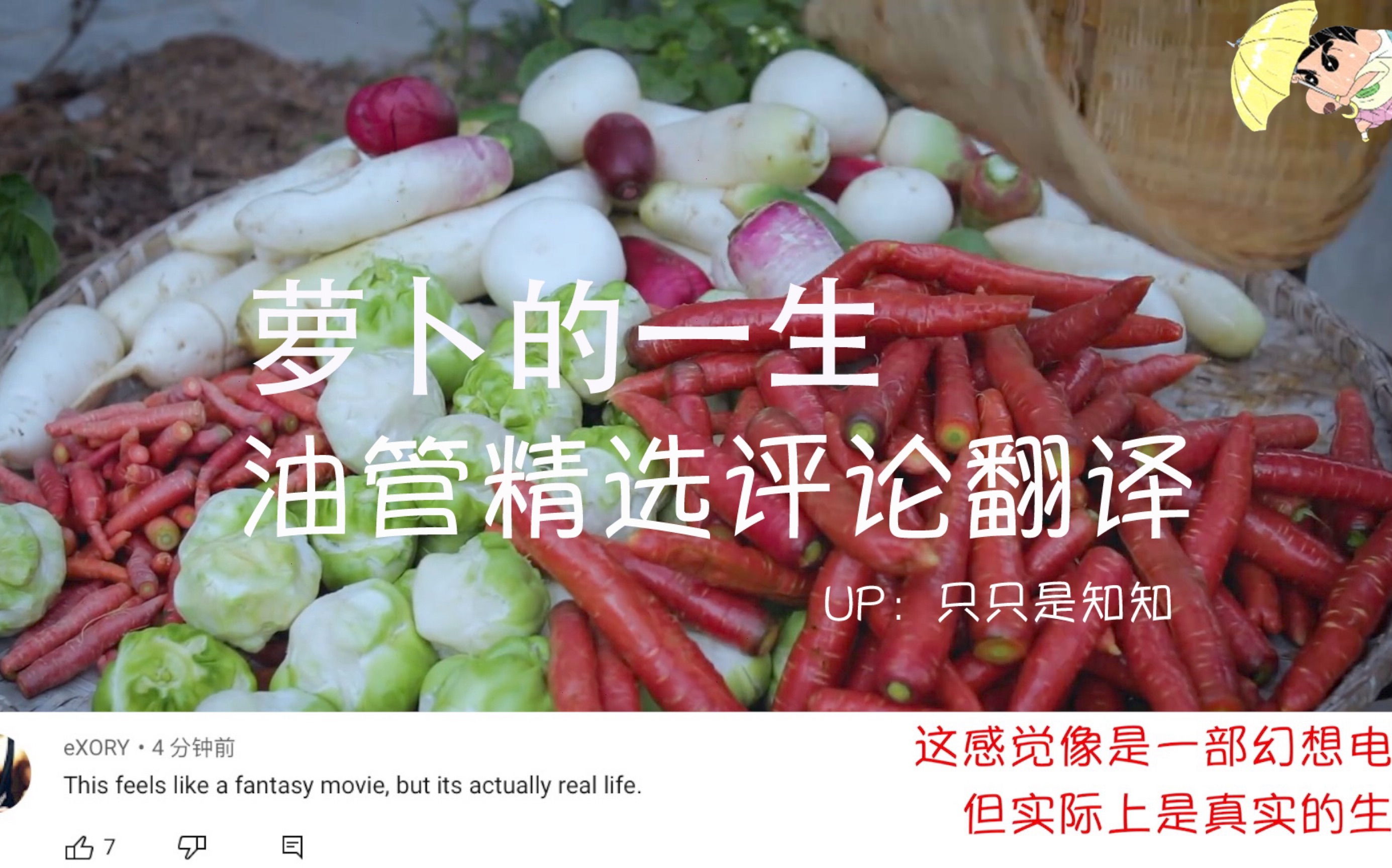 【油管搬运】【油管精选评论翻译】李子柒萝卜的一生