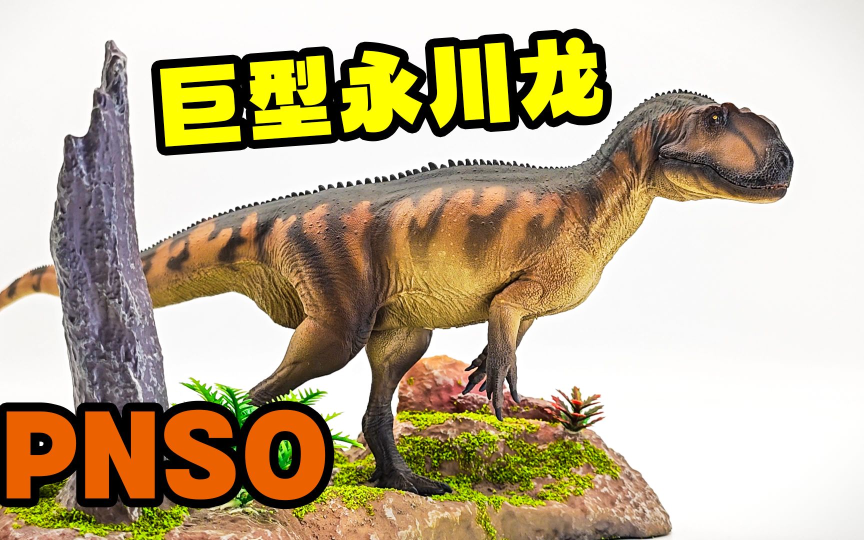 中华大地巨型肉食恐龙登场!pnso永川龙评测!