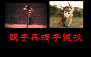 Video herunterladen: 甄子丹蝎子腿技！