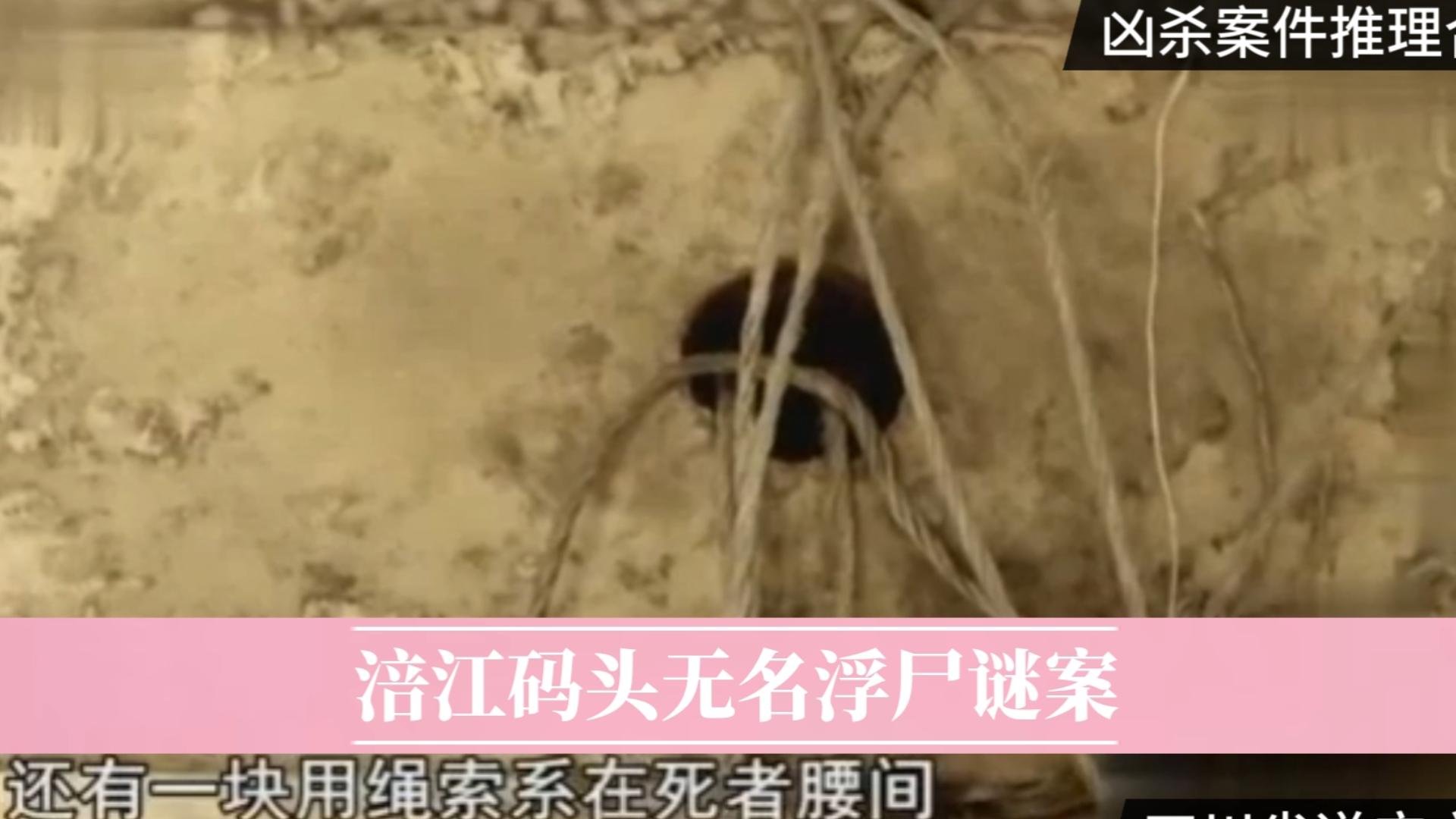 四川省遂宁市 《涪江码头无名浮尸谜案》-凶杀案件推理合集-凶杀案件推理合集-哔哩哔哩视频