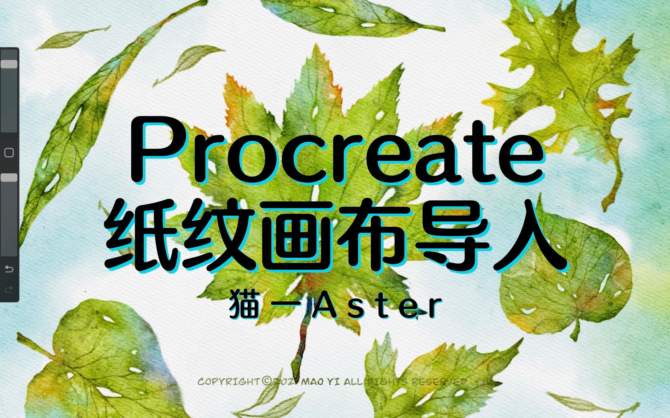 水彩必备.Procreate纸纹组(画布)的导入与使用教程哔哩哔哩bilibili