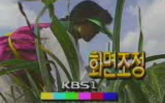 【放送文化】韩国放送公社KBS1开台(2000.08.31)哔哩哔哩bilibili