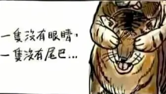关于..两只老虎的真相...