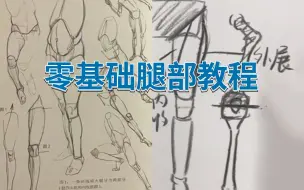 Download Video: 初学者最需要的基础知识｜大腿小腿的形态、解剖及透视