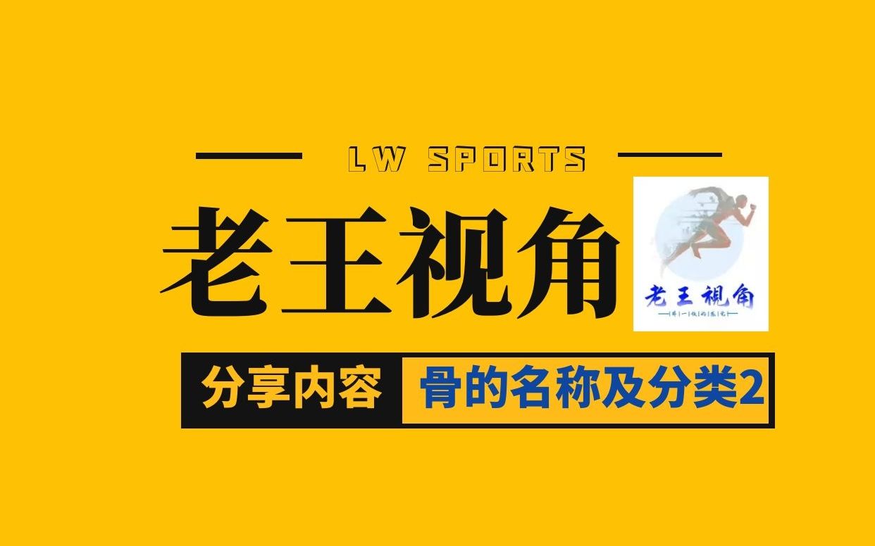 骨的名称及分类2哔哩哔哩bilibili