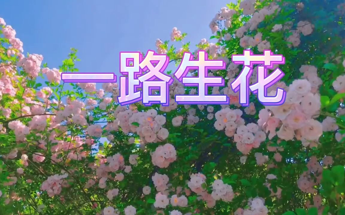 [图]一路生花-温奕心,2022最火的50首歌曲 2022流行歌曲大全 百听不厌的100首歌曲 2022好听的电视剧主题曲 2022年热歌最火排行榜 2022好听歌曲