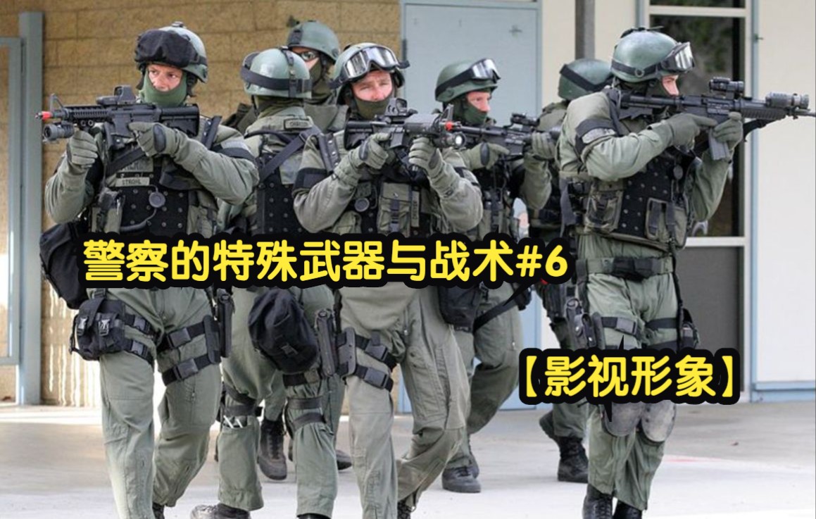 [图]警察的特殊武器与战术#6