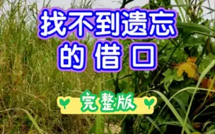 Download Video: 情歌对唱《找不到遗忘的借口》