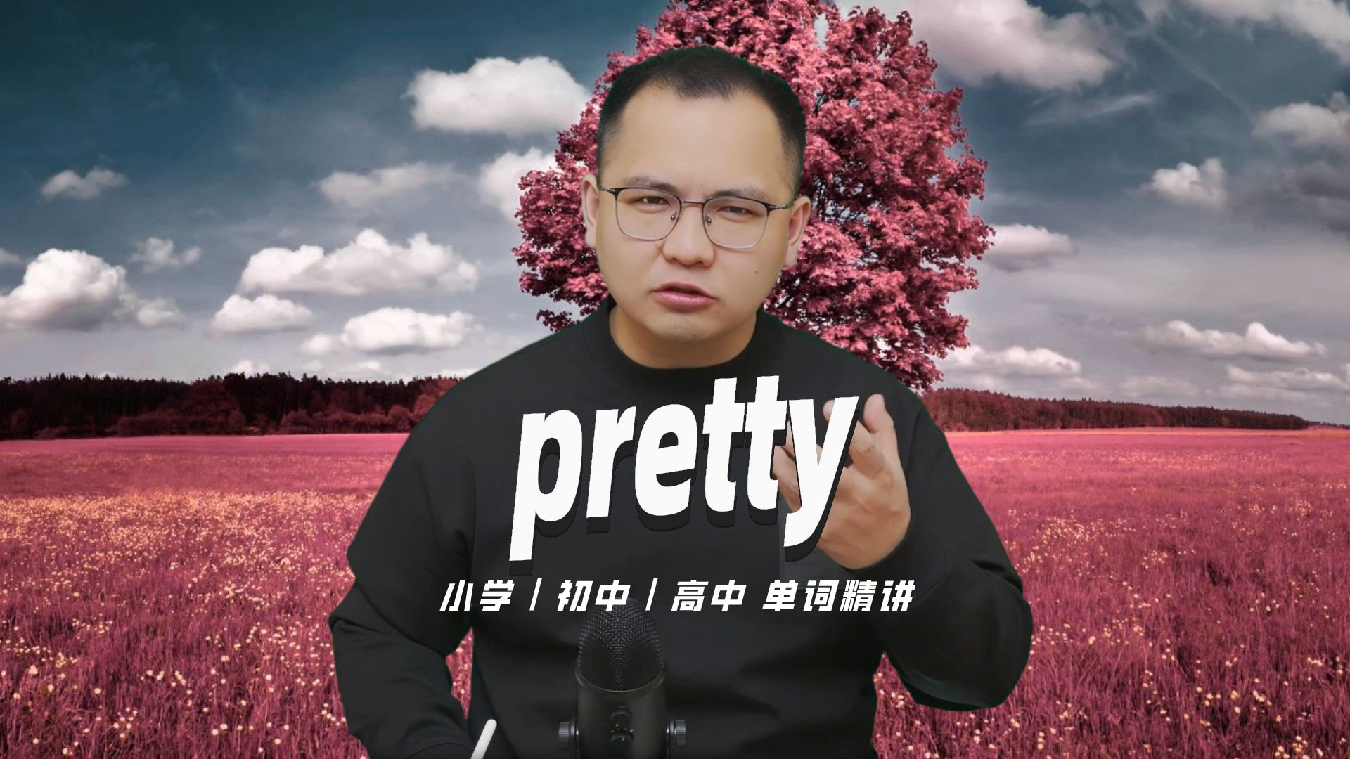 pretty是啥意思啊图片