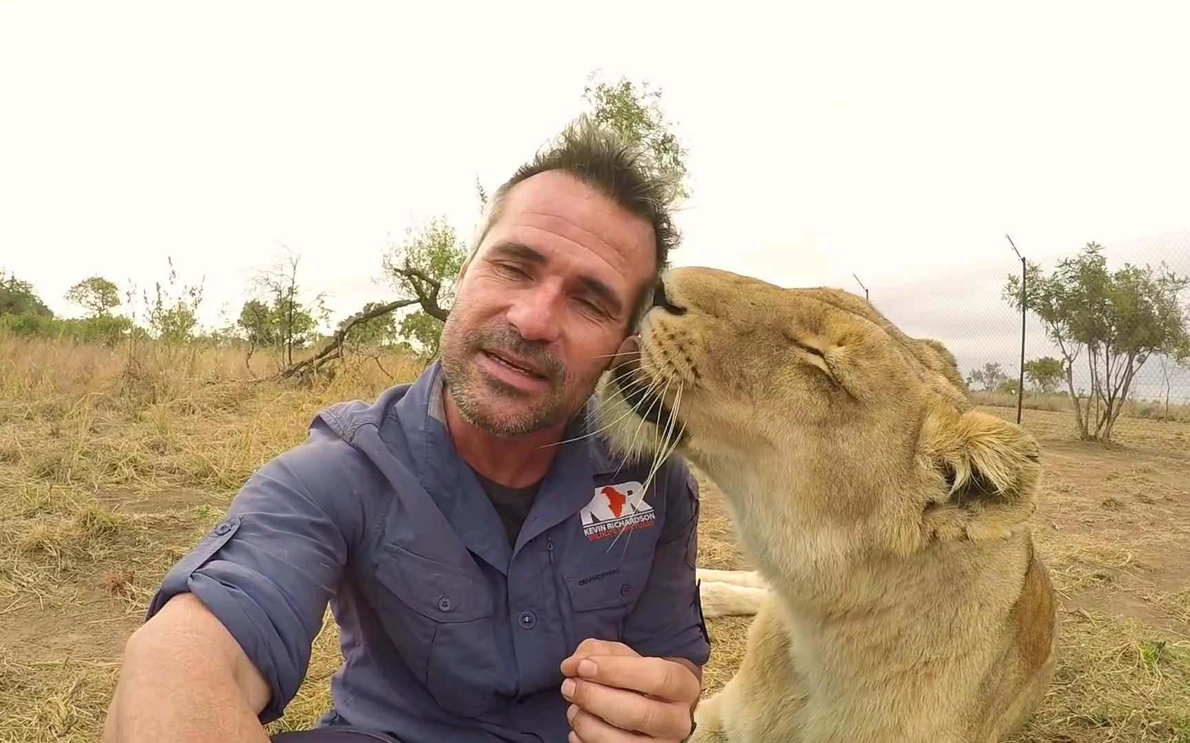 【狮语者】凯文·理查森lion kisses | the lion whisperer(生肉)