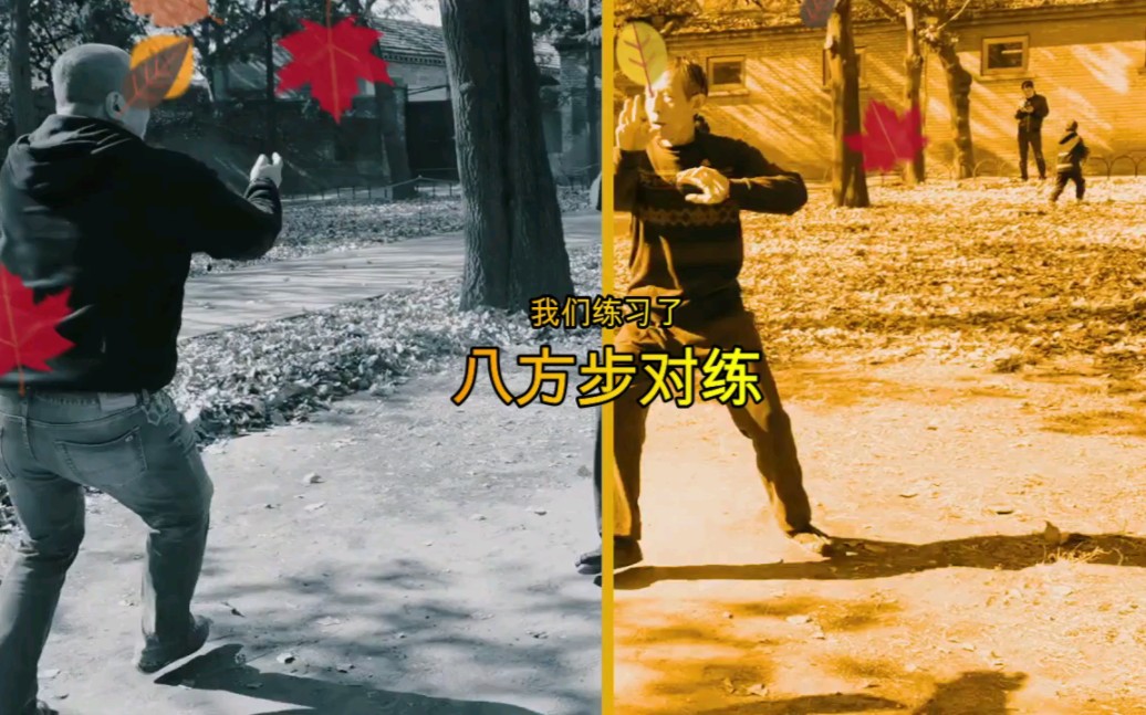 [图]拳刀枪棍，常练常新#天坛公园 #五势梅花桩 #戳脚 金刚拳，单凤刀，疯魔夜叉棍，五虎断门枪，手套，八方步。。。