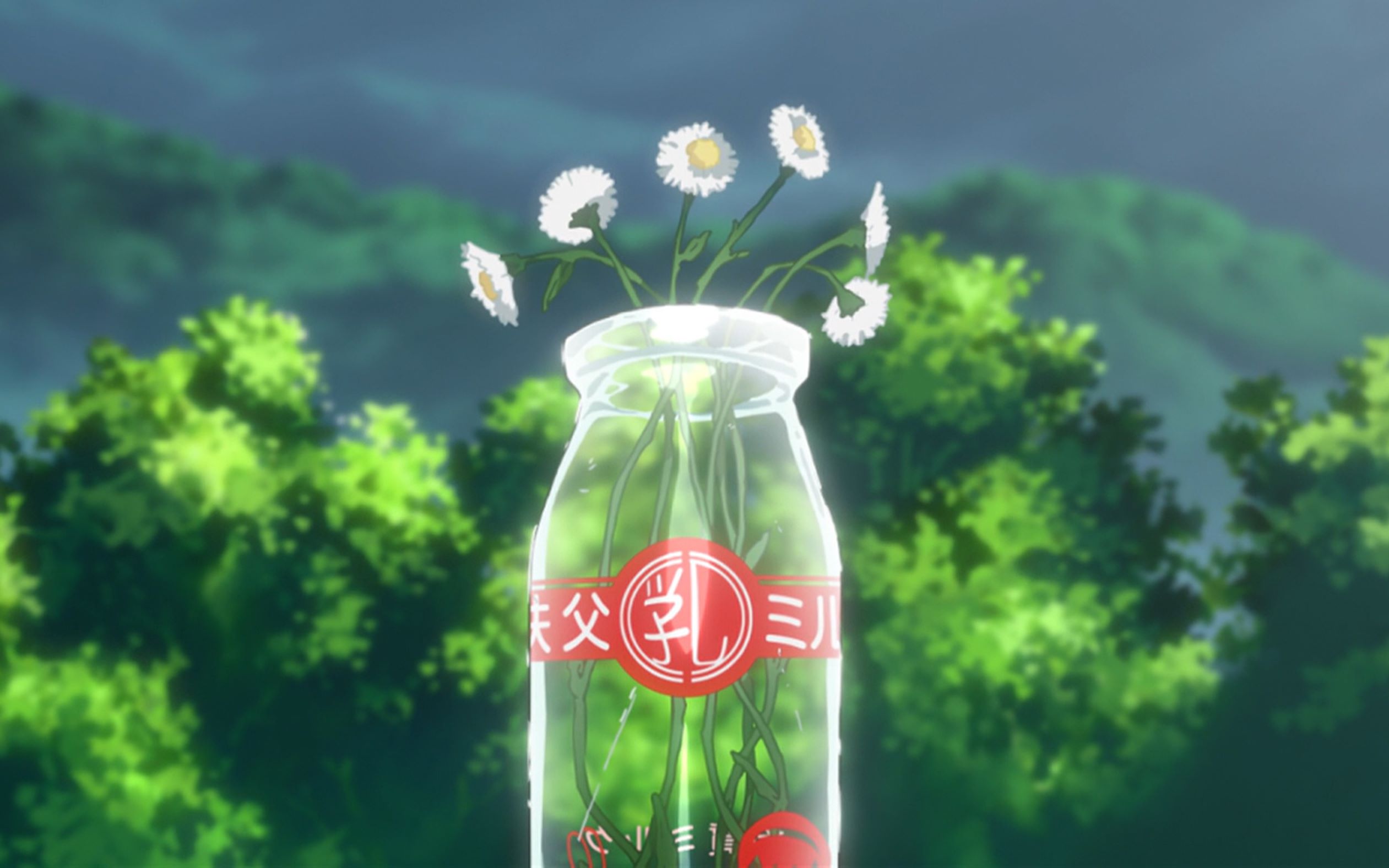 【未闻花名】我有一个愿望:能再去看看那朵花