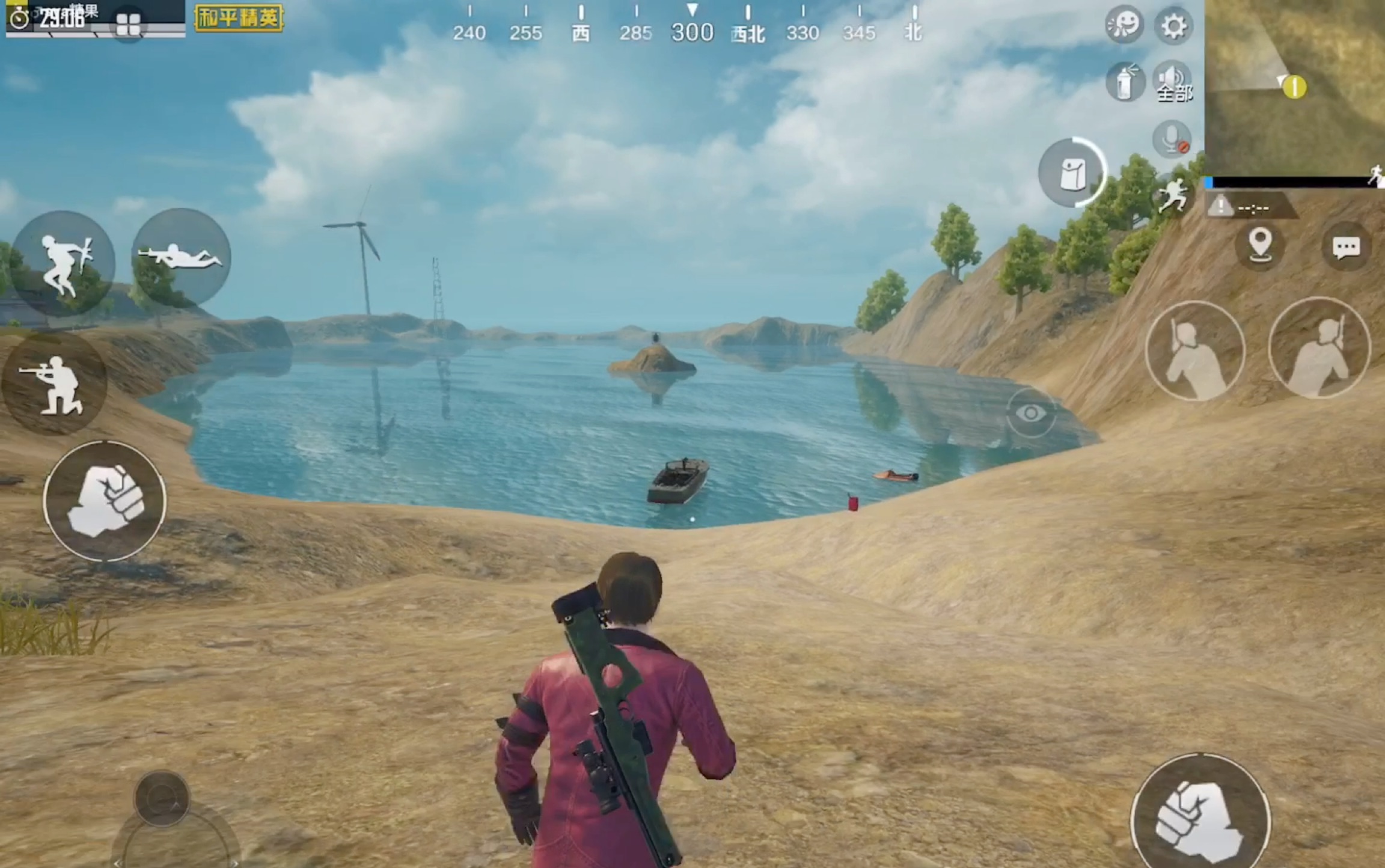 ipadmini5和平精英超高清画质展示效果