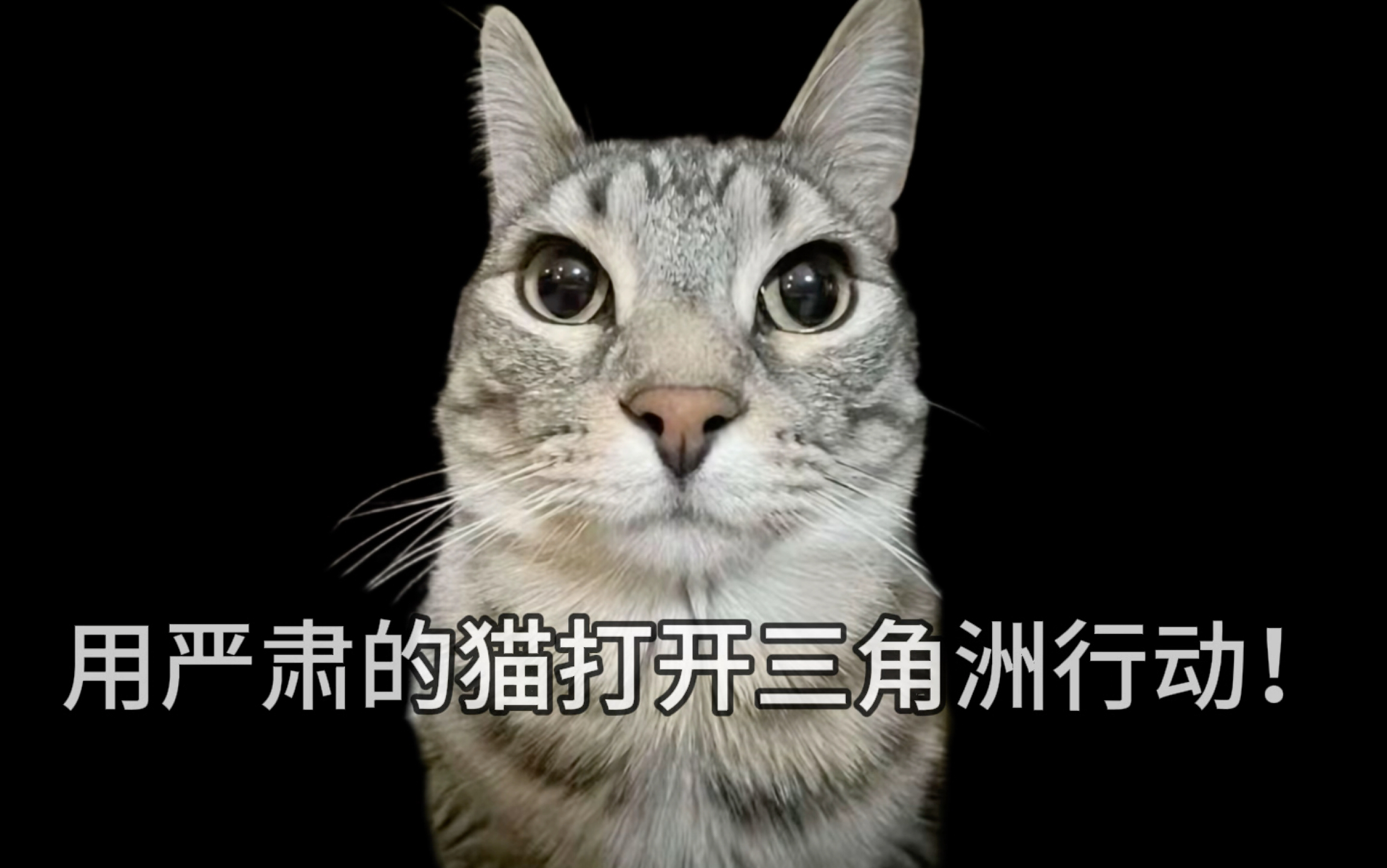 用严肃猫的方式打开三角洲行动!