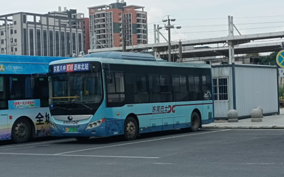 东莞巴士莞749路(沥林北城轨站一东莞市第八高级中学)