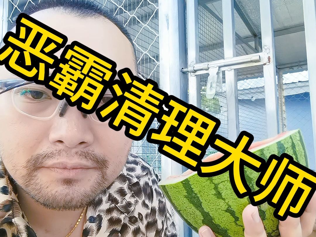 恶霸生活垃圾清理大师