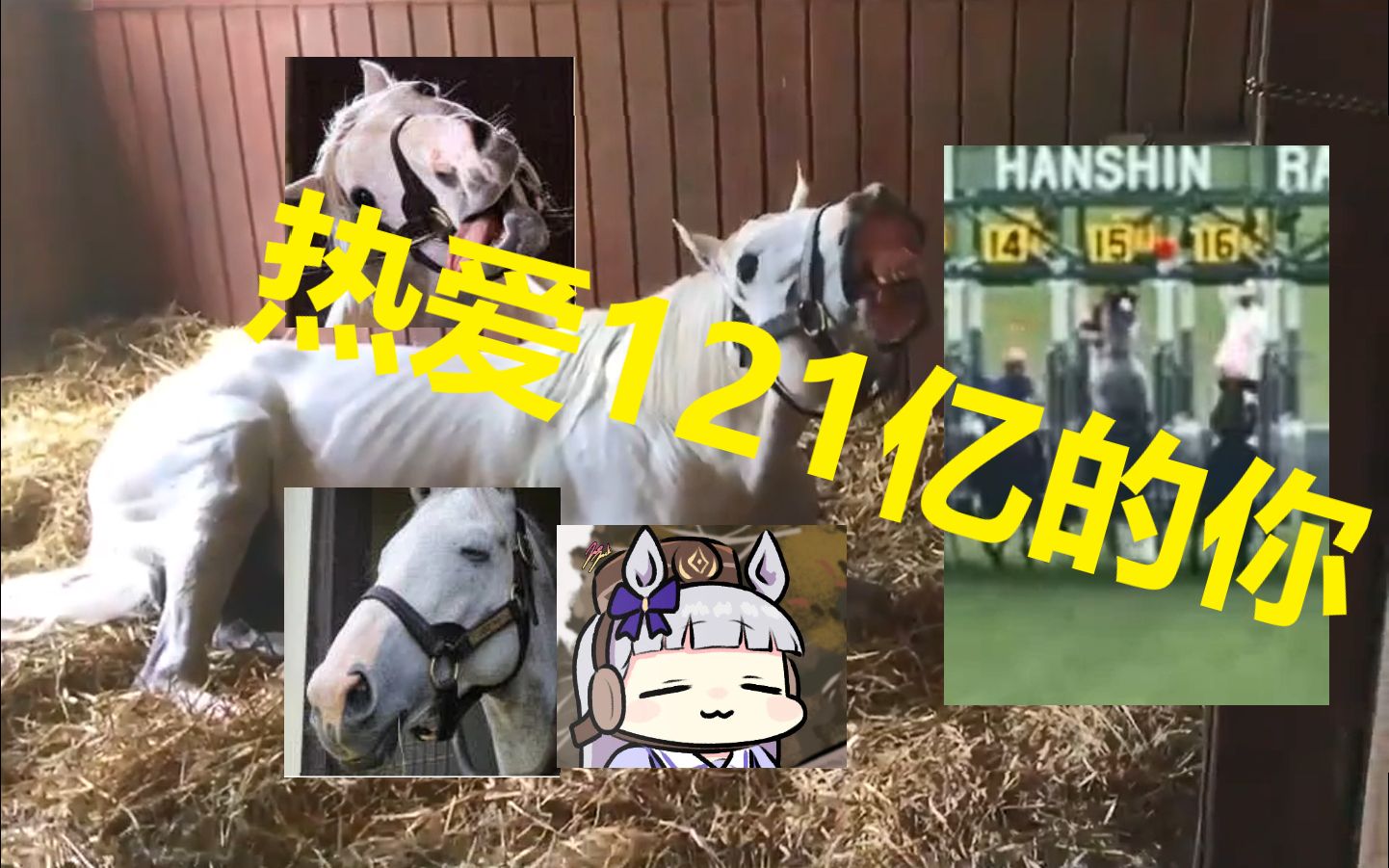 花甲粉夏日大排档必点美食味道绝绝子