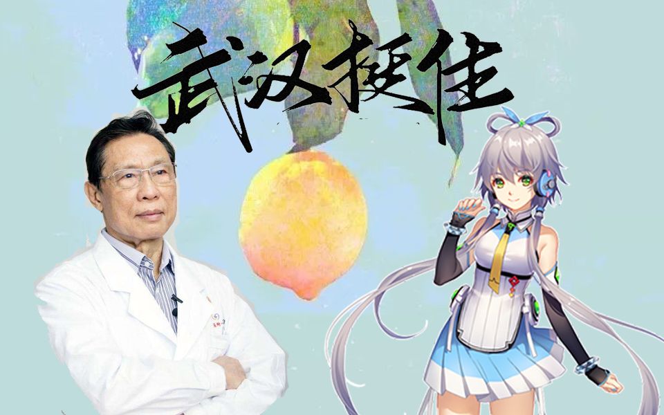 【洛天依/lemon/武汉应援】武汉加油